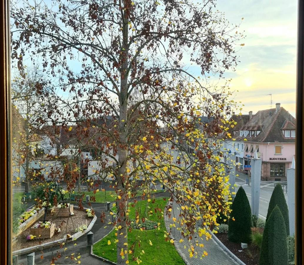 Auberge Syra/ Proche Europa Park Маркольсайм Экстерьер фото